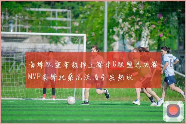 黄蜂队宣布裁掉上赛季G联盟总决赛MVP前锋托桑厄沃马引发热议